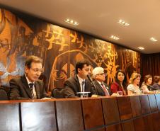 O defensor público André Giamberardino participando da audiência pública constante no “Plano Estadual de Atenção às Mulheres Privadas de Liberdade e Egressas do Sistema Penal do Paraná”.