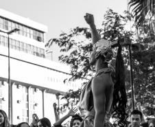 No dia 29 de janeiro  celebrado o dia da Visibilidade Trans no Brasil