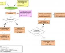Fluxograma de atendimento da Defensoria Pública na CMB. A proposta de atuação prevê que o defensor público responsável pelo atendimento, além do acompanhamento das medidas protetivas, teria a função de propor ações relativas aos interesses das mulheres em situação de violência doméstica em outras áreas jurídicas, como Família e Cível. 