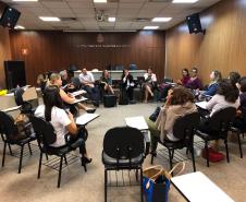 Reunião Direitos da Mulher Condege e Anadep