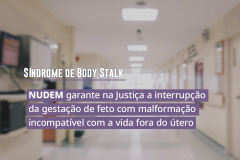NUDEM garante na Justiça a interrupção da gestação de feto com malformação incompatível com a vida fora do útero