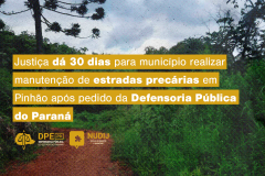 A imagem mostra um caminho de terra em uma área rural do Paraná, cercada por mato alto, em que ao fundo se vê uma araucária. No título está escrito: "Justiça dá 30 dias para município realizar manutenção de estradas precárias em Pinhão após pedido da Defensoria Pública do Paraná". O logo da Defensoria Pública e do Núcleo da Infância e Juventude estão posicionados logo após o título, na cor amarela. 