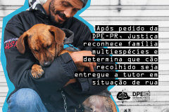 Imagem com foto do cãozinho Rock Merlini, de seis meses, vestindo blusa de moletom e corrente no pescoço, enquanto encara a câmera.