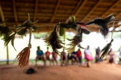 Foto da atuação do NUPIER na aldeia Yvy Okaju, em Guaíra.