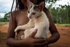 Imagem em close de uma criança com gato no colo. Imagem não mostra o rosto da menina.
