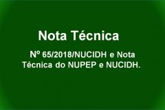 nota técnica nucidh