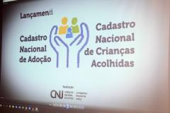 NUDIJ participa de curso formativo para acesso ao novo Cadastro Nacional de Adoção
