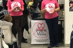 Quarta palestra da Associação Amigas da Mama no CAM de Curitiba
