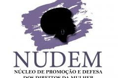 Temática da violência doméstica contra a mulher será trabalhada através do NUDEM no Hospital Pequeno Príncipe.