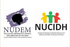 NUCIDH e NUDEM emitem Recomendação Conjunta 