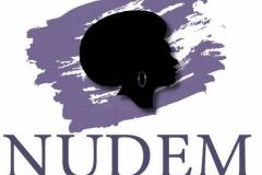 NUDEM: NOTA TÉCNICA ACERCA DO PL ESTADUAL 160/2018 (DISPÕE SOBRE A VIOLÊNCIA OBSTÉTRICA E REVOGA A LEI 19.207/2017) 
