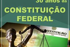 7º Constituição nacional: a história por trás das Constituições do Brasil