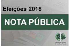 A imagem consiste dos dizeres: Eleições 2018, em preto alinhado ao lado direito da imagem e centralizado, e nota pública abaixo, em branco com uma faixa verde em volta.
O fundo da imagem é branco, mas é possível ver uma urna eletrônica por meio de degrade. A logo da DPPR se encontra no canto inferior direito. 