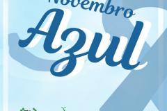 A imagem possui fundo azul claro e lê-se em centralizado em destaque "Novembro Azul" em uma tonalidade mais escura de azul. 
No lado direito temos o simbolo do novembro azul e nas partes inferiores as logos da Edepar e da DPPR