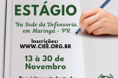 #LEGENDAACESSÍVEL #DPPR: A imagem consiste de um livro aberto com folhas brancas, nessas estão inseridas algumas informações sobre a vaga de estágio, e no canto superior direito vemos uma mão segurando uma caneta bem próxima a uma das folhas. No canto inferior direito, temos a logo da DPPR.