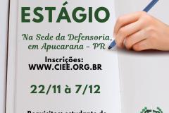  A imagem consiste de um livro aberto com folhas brancas, nessas estão inseridas algumas informações sobre a vaga de estágio, e no canto superior direito vemos uma mão segurando uma caneta bem próxima a uma das folhas. No canto inferior direito, temos a logo da DPPR.