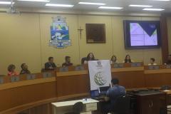 Mesa da audiência pública em Foz do Iguaçu, que contou com a participação da psicóloga Naíra Frutos González.