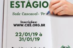 #LegendaAcessível: Na imagem vemos uma mão segurando uma caneta muito próxima a uma folha de papel, como se estivesse prestes a escrever algo. No canto superior esquerdo lê: ESTÁGIO Sede Cascavel - PR. Abaixo temos a seguinte descrição:"Inscrições: ww.ciee.org.br" , "22/01/2019 à 31/01/2019", "Requisitos: estudante de Direito a partir do quinto semestre". No canto inferior direito vemos a logo da DPPR.