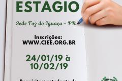 Na imagem vemos uma mão segurando uma caneta muito próxima a uma folha de papel, como se estivesse prestes a escrever algo. No canto superior esquerdo lê: ESTÁGIO Sede Foz do Iguaçu - PR. Abaixo temos a seguinte descrição:"Inscrições: ww.ciee.org.br" , "24/01/2019 à 10/02/2019", "Requisitos: estudante de Direito a partir do quinto semestre". No canto inferior direito vemos a logo da DPPR.