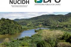 Logo do NICIDH e da DPU na parte de cima. Do meio para baixo, imagem do Vale do Ribeira.