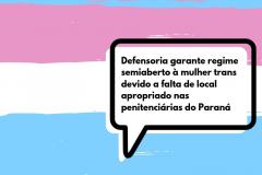 A imagem consiste da bandeira Trans. No canto central direito há um balão de fala com o seguinte dizer: “Defensoria garante regime semiaberto à mulher Trans devido a falta de local apropriado nas penitenciárias do Paraná”. No final da imagem, centralizado, tem-se a logo da DPPR.