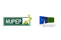 NUPEP e TJPR