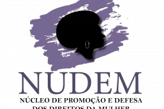 Logo NUDEM.