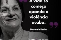 13 anos da Lei Maria da Penha e o direito como assistente de acusação da mulher em situação de violência doméstica 
