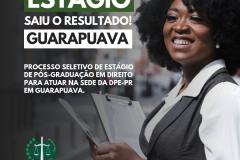 DPE-PR divulga resultado do processo seletivo