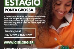 DPE-PR abre vagas de estágio em Ponta Grossa