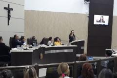 Na última quinta-feira (23), a defensora pública de Guarapuava, Mariela Reis Bueno, participou da Audiência Pública sobre a Educação Infantil em Tempo Integral que aconteceu na Câmara de Vereadores da cidade.