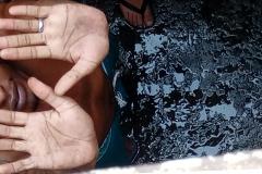 COVID19 - Este problema de saúde pública que é geral e que tem feito dezenas de milhares de vítimas pelo mundo todo em escala exponencial, torna-se ainda mais grave no ambiente carcerário.