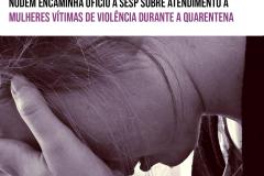 Dados preliminares divulgados apontam aumento de casos de violência, preocupando o Núcleo