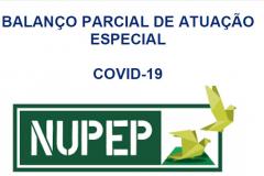 A informação faz parte do Balanço Especial de Atividades, publicado pelo Núcleo.
