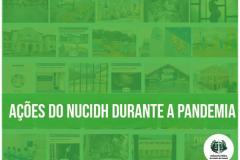 O Núcleo está atuando em casos coletivos e isolados para garantir os direitos de grupos vulneráveis.