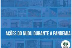 O Núcleo está atuando em casos coletivos e isolados para garantir os direitos de grupos vulneráveis.