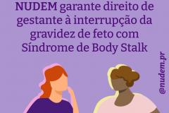 DPE-PR garante na Justiça o direito à interrupção de gestação de feto com Síndrome de Body Stalk
