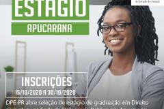 O processo de seleção ocorrerá de forma remota