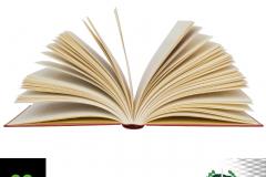 29 de Outubro: Dia Nacional do Livro.