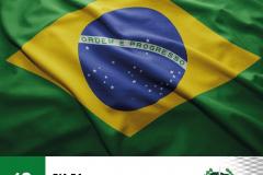 19 de novembro: Dia da Bandeira Nacional.