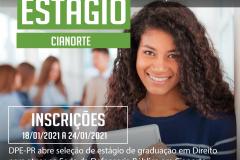 O processo de seleção ocorrerá de forma remota