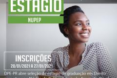 estágio NUPEP
