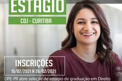 O processo de seleção ocorrerá de forma remota