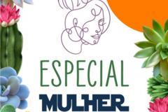DPE-PR da Casa da Mulher Brasileira participa de PODCAST sobre violência doméstica contra a mulher