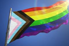 DPE-PR tem posicionamento acatado pelo órgão especial do TJ-PR em judicialização que visa proteção da comunidade LGBT.