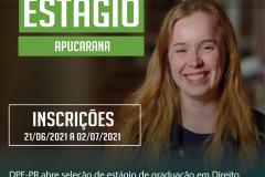 DPE-PR abre processo de estágio para atuar na sede de Apucarana