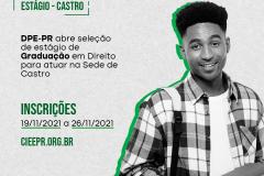 Estágio - Castro