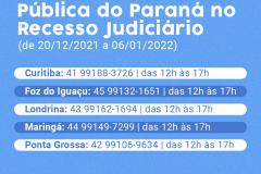 Plantão da DPE-PR no recesso judiciário 