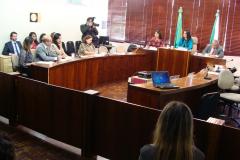 Comissão de Defesa dos Direitos da Mulher