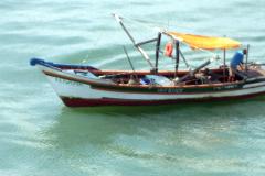Pescadores artesanais do litoral do estado terão acompanhamento da Defensoria na execução do programa Paraná do Campo